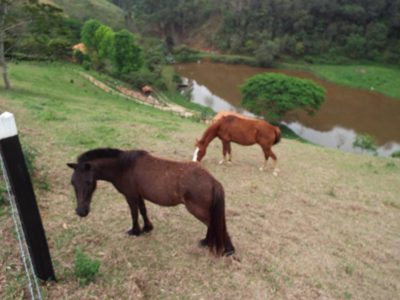 Estrela Da Serra Hotel Fazenda Santo Antônio do Pinhal Eksteriør bilde